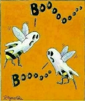 Boo Bees - halloween pictures halloween humor halloween jokes halloween cartoons