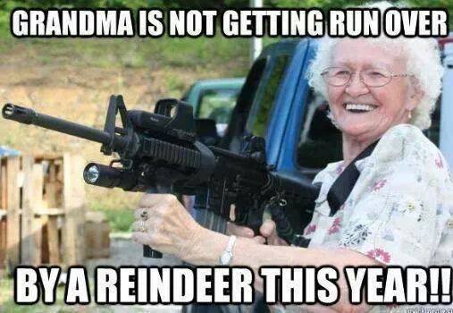 Grandma Is Not Getting Run Over This Year - christmas pictures christmas humor christmas jokes christmas cartoons xmas pictures xmas humor xmas jokes xmas cartoons