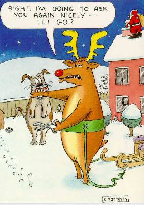 Reindeer Dog Trouble - christmas pictures christmas humor christmas jokes christmas cartoons xmas pictures xmas humor xmas jokes xmas cartoons