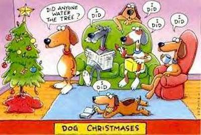 Dogs Christmas - christmas pictures christmas humor christmas jokes christmas cartoons xmas pictures xmas humor xmas jokes xmas cartoons