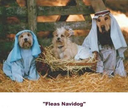 Fleas Navidog - christmas pictures christmas humor christmas jokes christmas cartoons xmas pictures xmas humor xmas jokes xmas cartoons