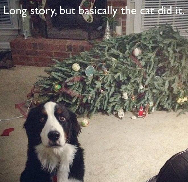 Long Story - christmas pictures christmas humor christmas jokes christmas cartoons xmas pictures xmas humor xmas jokes xmas cartoons